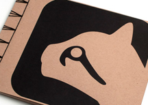 Process Book